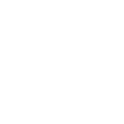 Round emblem with B/N characters to represent Broad + Noble brand