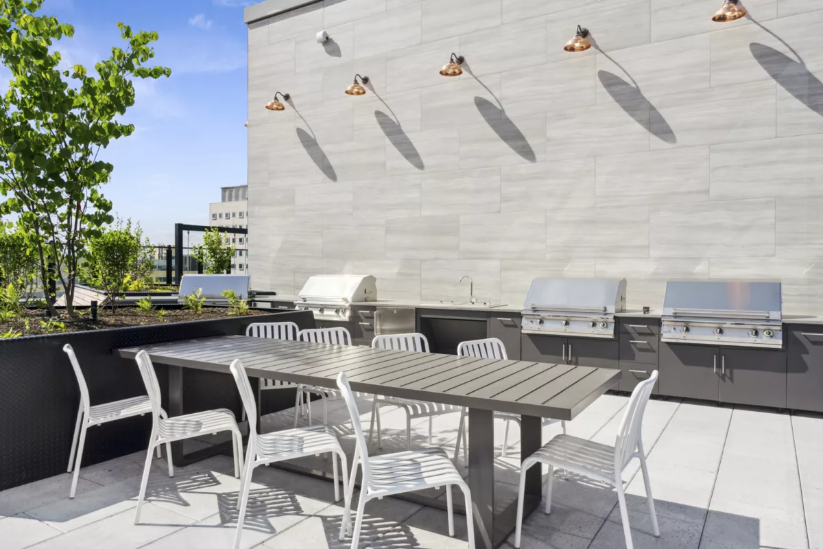 Rooftop deck with grills, long table with chairs, and greenery